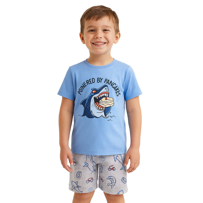 2 Piece Short Sleeve Graphic Tee And Shorts Sleepwear Pajama Set